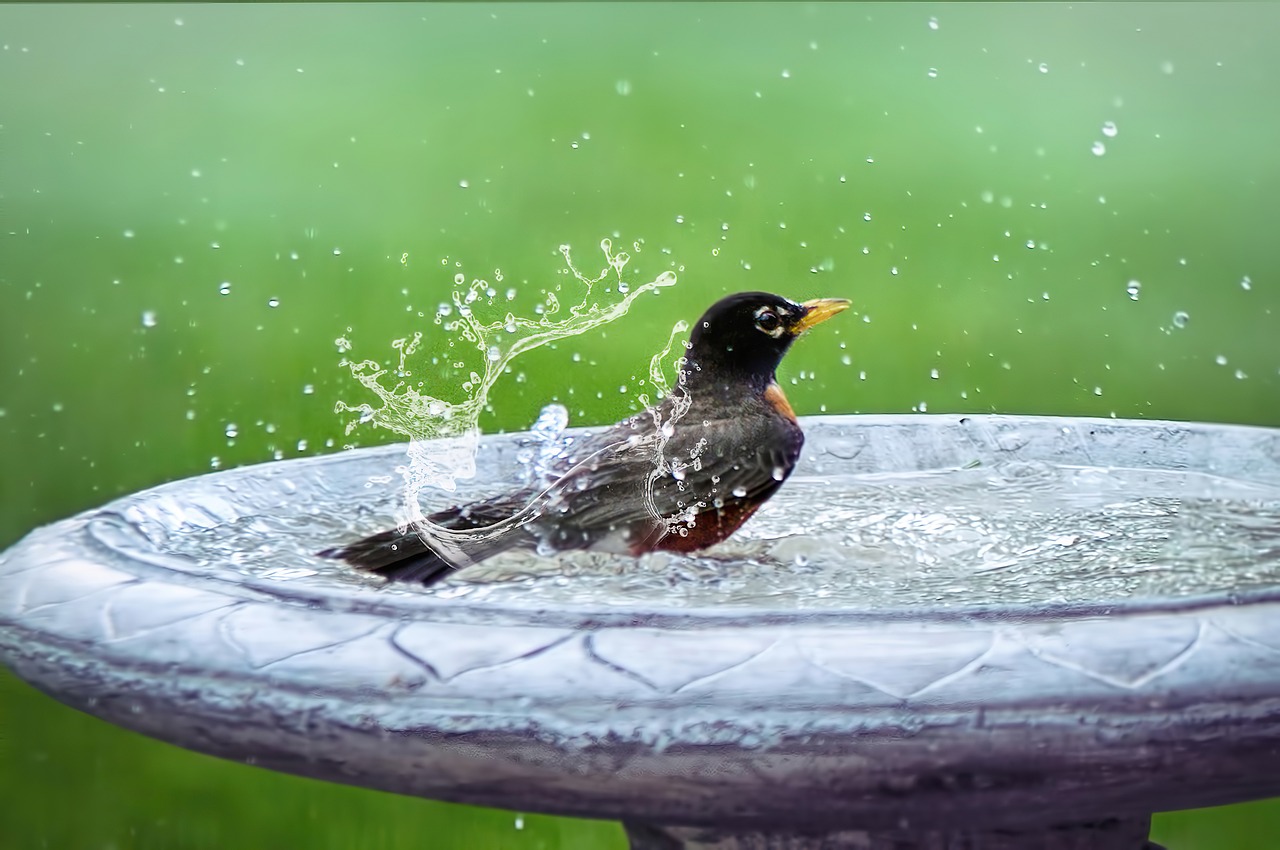 Animal Migrations: Spectacular Journeys and Conservation Challenges